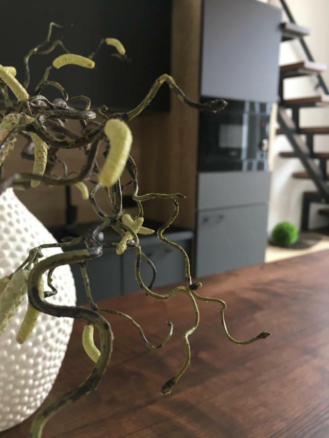 Goodmood Apartment Debreczyn Zewnętrze zdjęcie